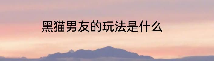 黑猫男友的玩法是什么
