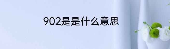 902是是什么意思