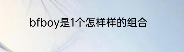 bfboy是1个怎样样的组合