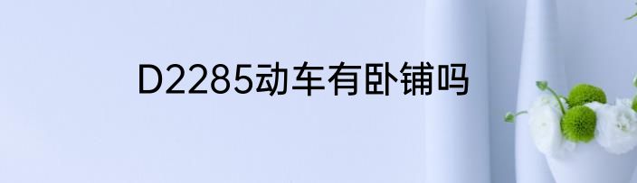 D2285动车有卧铺吗