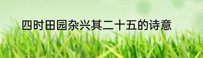 四时田园杂兴其二十五的诗意