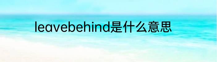 leavebehind是什么意思