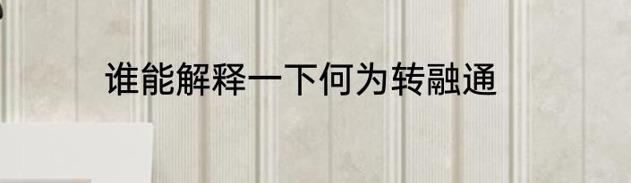 谁能解释一下何为转融通