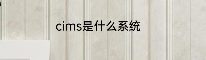 cims是什么系统