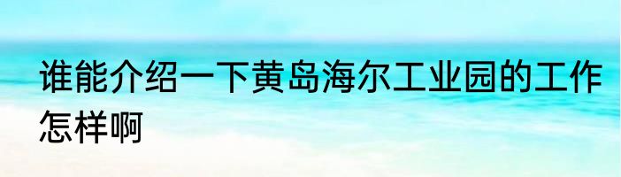 谁能介绍一下黄岛海尔工业园的工作怎样啊