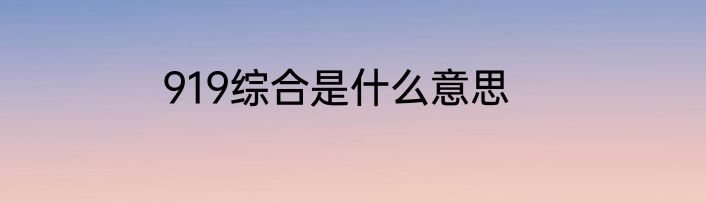 919综合是什么意思