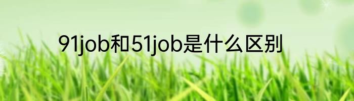 91job和51job是什么区别