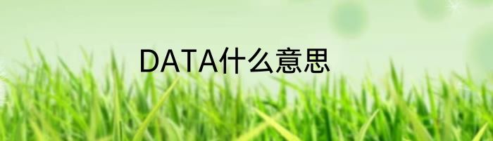 DATA什么意思