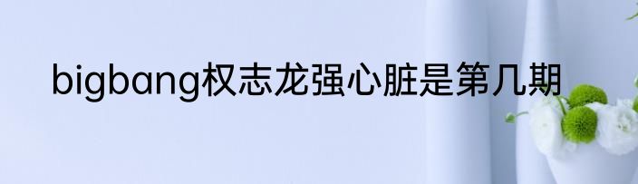 bigbang权志龙强心脏是第几期