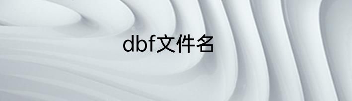 dbf文件名