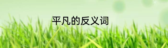 平凡的反义词