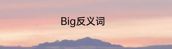 Big反义词