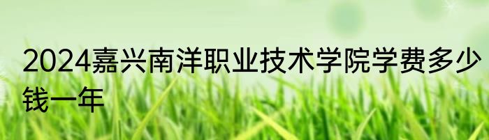2024嘉兴南洋职业技术学院学费多少钱一年