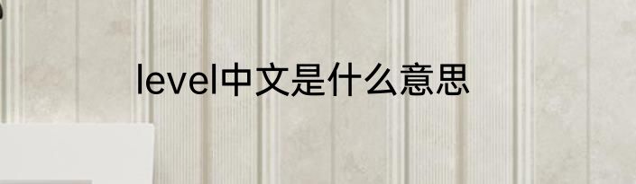 level中文是什么意思