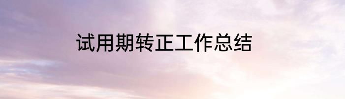 试用期转正工作总结