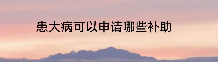 患大病可以申请哪些补助