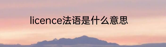 licence法语是什么意思