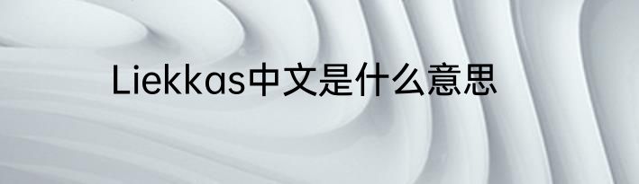 Liekkas中文是什么意思