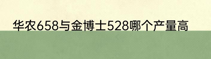 华农658与金博士528哪个产量高