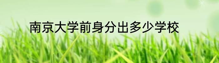 南京大学前身分出多少学校
