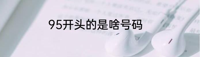 95开头的是啥号码