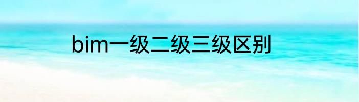 bim一级二级三级区别