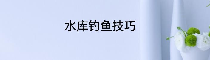 水库钓鱼技巧