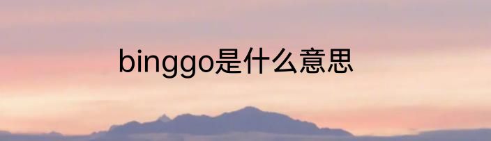 binggo是什么意思
