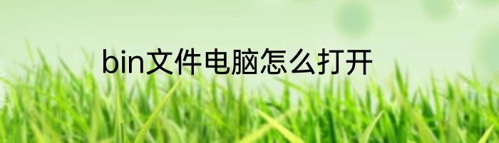 bin文件电脑怎么打开