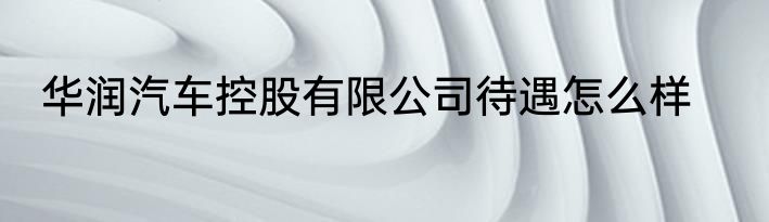 华润汽车控股有限公司待遇怎么样