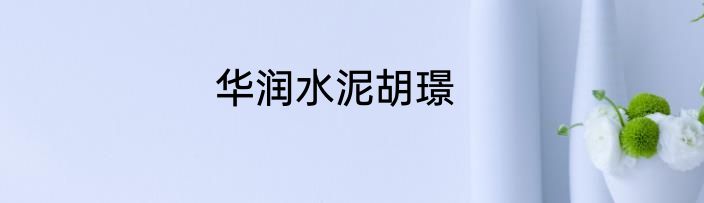 华润水泥胡璟