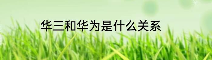 华三和华为是什么关系