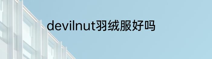 devilnut羽绒服好吗
