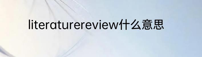 literaturereview什么意思