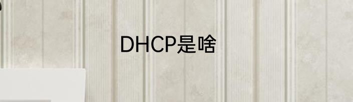 DHCP是啥