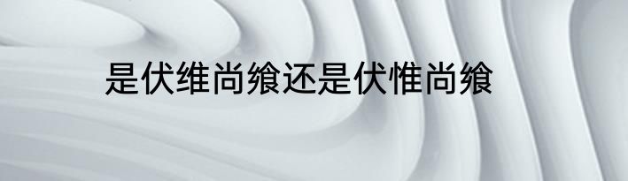是伏维尚飨还是伏惟尚飨