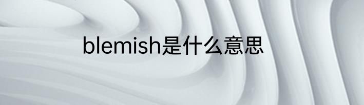 blemish是什么意思
