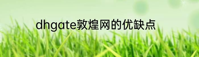 dhgate敦煌网的优缺点