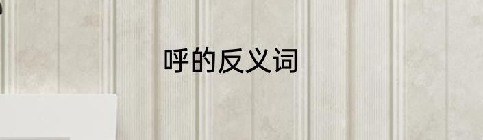 呼的反义词