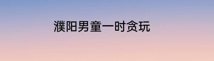 濮阳男童一时贪玩