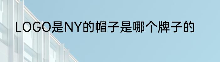 LOGO是NY的帽子是哪个牌子的