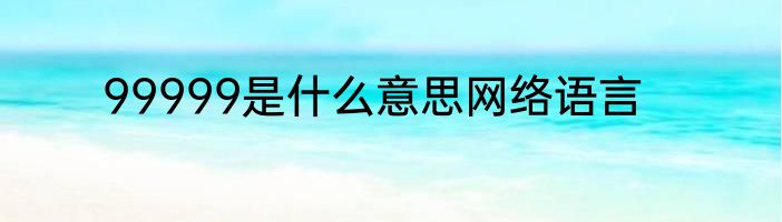 99999是什么意思网络语言
