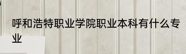 呼和浩特职业学院职业本科有什么专业
