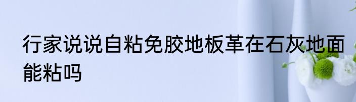 行家说说自粘免胶地板革在石灰地面能粘吗