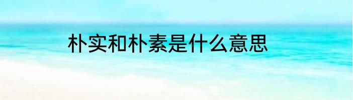 朴实和朴素是什么意思