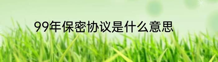 99年保密协议是什么意思