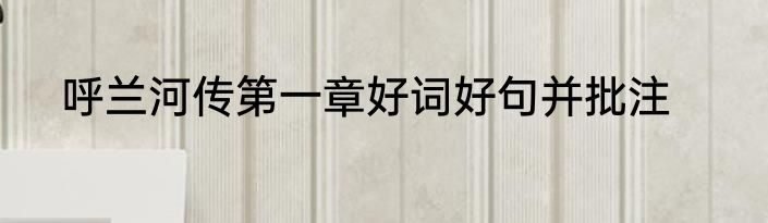 呼兰河传第一章好词好句并批注
