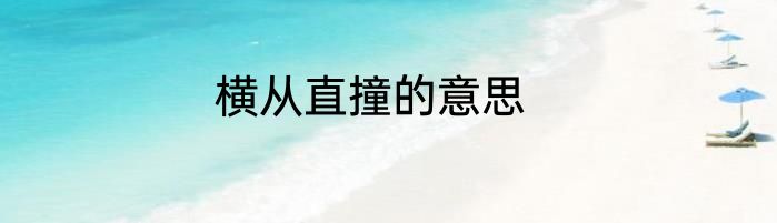 横从直撞的意思