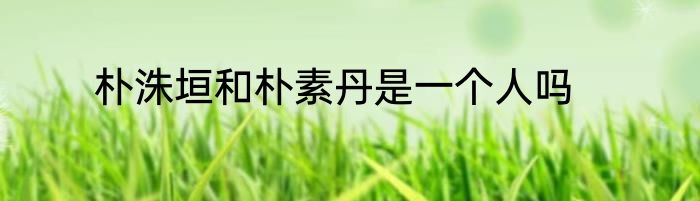朴洙垣和朴素丹是一个人吗