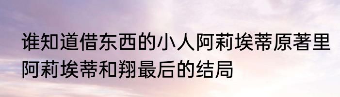 谁知道借东西的小人阿莉埃蒂原著里阿莉埃蒂和翔最后的结局